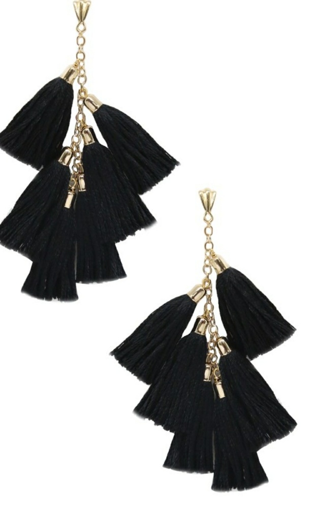 Day Dreamer Tassel Earings